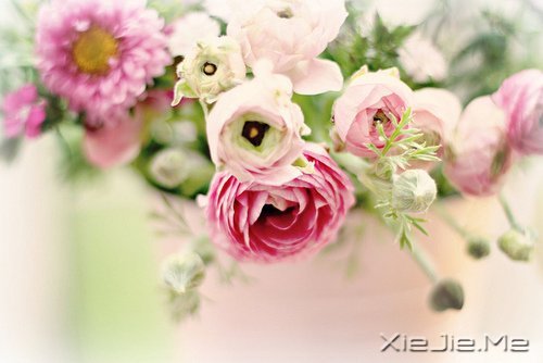 要看清自己,不要看轻自己 (7)