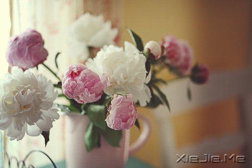 愿在我最美的时光,遇见最美好的你 (3)