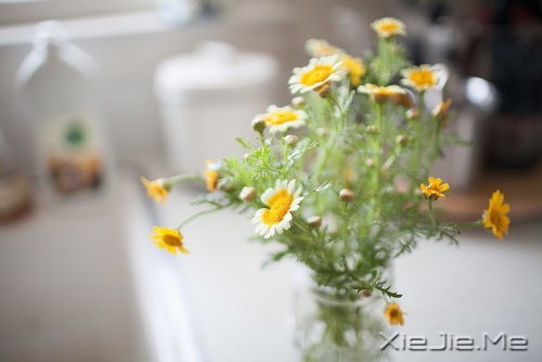 愿在我最美的时光,遇见最美好的你 (9)