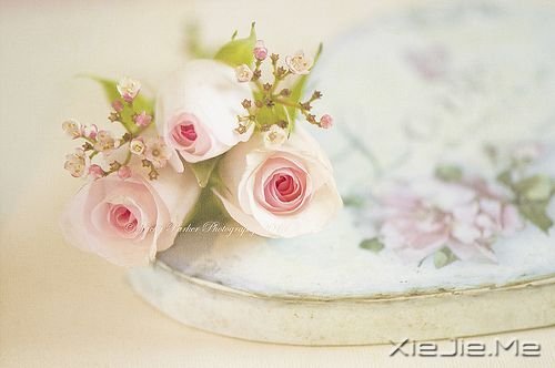 簲һ˵ (5)