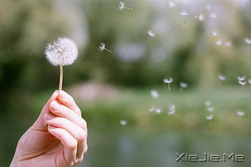 早安心语:我正在努力变成自己喜欢的那个自己 (7)