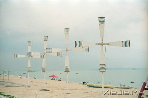 早安心语:生活,不怕苦,就怕麻木 (8)