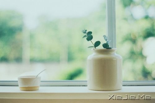 晚安心语:别对生活要求太多,生活才会充满惊喜 (11)