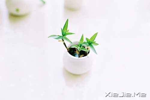 晚安心语:有一种想念,叫避而不见 (3)