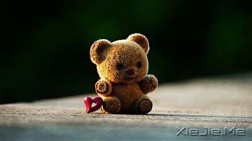 早安心语:人们往往只相信他们愿意相信的东西 (2)