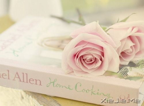 只要自己努力就好 (2)